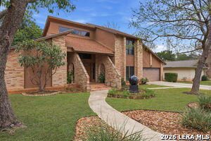 2623 Turkey Oak