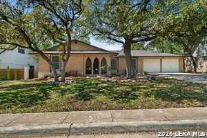 2010 Broken Oak